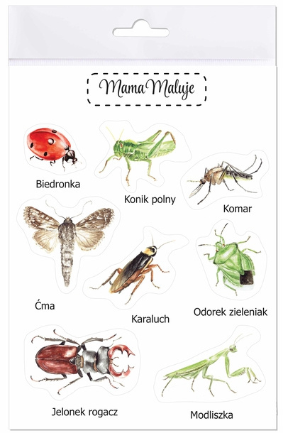 Naklejki duże Owady 1, realistyczne malowane ilustracje